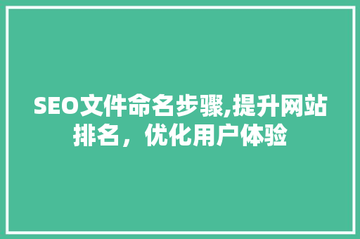 SEO文件命名步骤,提升网站排名，优化用户体验 SEO文件命名步骤,提升网站排名，优化用户体验 必应SEO