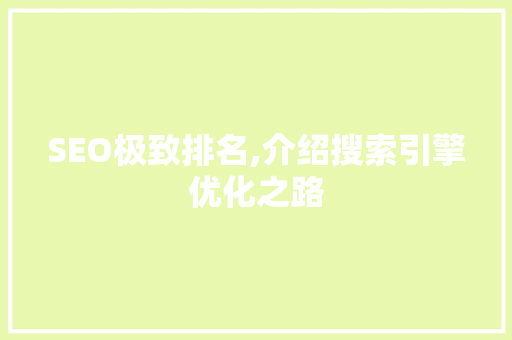 SEO极致排名,介绍搜索引擎优化之路 SEO极致排名,介绍搜索引擎优化之路 GoogleSEO