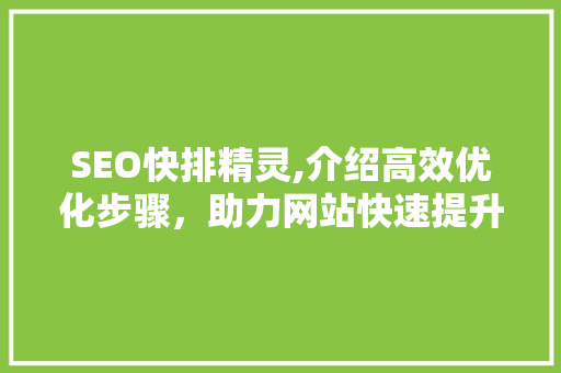 SEO快排精灵,介绍高效优化步骤，助力网站快速提升排名 SEO快排精灵,介绍高效优化步骤，助力网站快速提升排名 GoogleSEO