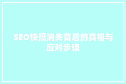 SEO快照消失背后的真相与应对步骤 SEO快照消失背后的真相与应对步骤 搜狗SEO