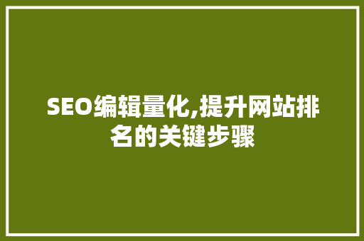 SEO编辑量化,提升网站排名的关键步骤