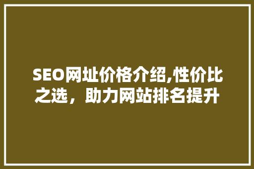 SEO网址价格介绍,性价比之选，助力网站排名提升