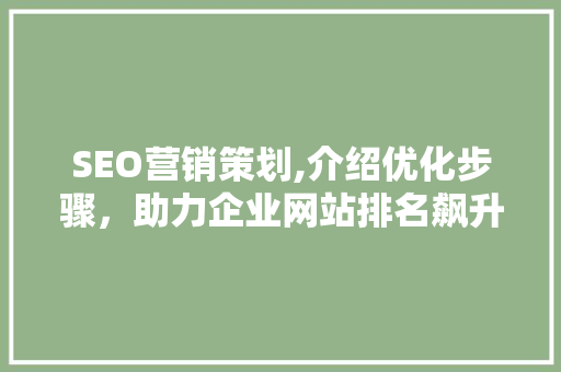 SEO营销策划,介绍优化步骤，助力企业网站排名飙升