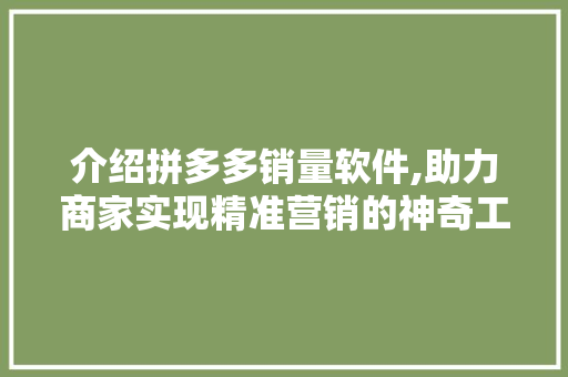 介绍拼多多销量软件,助力商家实现精准营销的神奇工具 介绍拼多多销量软件,助力商家实现精准营销的神奇工具 GoogleSEO