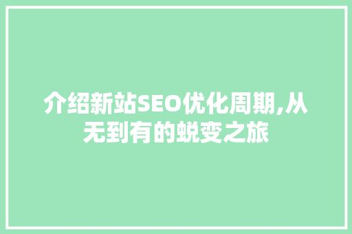 介绍新站SEO优化周期,从无到有的蜕变之旅