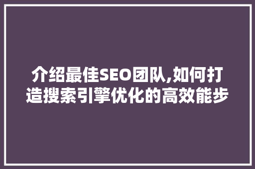 介绍最佳SEO团队,如何打造搜索引擎优化的高效能步骤
