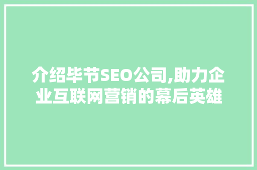介绍毕节SEO公司,助力企业互联网营销的幕后英雄
