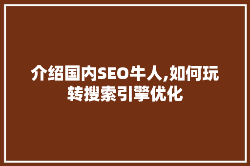 介绍国内SEO牛人,如何玩转搜索引擎优化