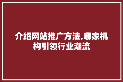 介绍网站推广方法,哪家机构引领行业潮流 介绍网站推广方法,哪家机构引领行业潮流 必应SEO