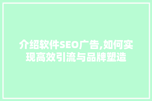 介绍软件SEO广告,如何实现高效引流与品牌塑造 介绍软件SEO广告,如何实现高效引流与品牌塑造 GoogleSEO