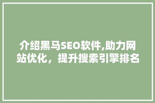 介绍黑马SEO软件,助力网站优化，提升搜索引擎排名的利器