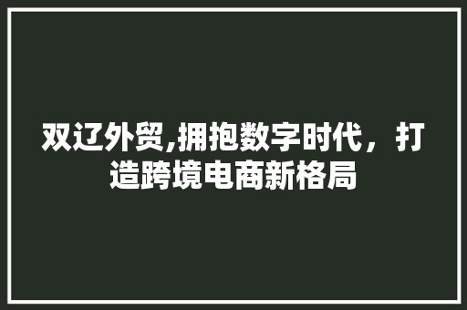 双辽外贸,拥抱数字时代，打造跨境电商新格局 双辽外贸,拥抱数字时代，打造跨境电商新格局 百度SEO