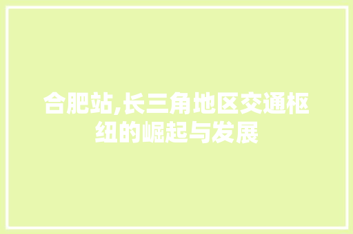 合肥站,长三角地区交通枢纽的崛起与发展 合肥站,长三角地区交通枢纽的崛起与发展 神马SEO