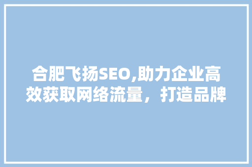合肥飞扬SEO,助力企业高效获取网络流量，打造品牌新高度