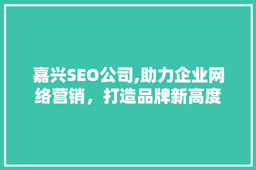 嘉兴SEO公司,助力企业网络营销，打造品牌新高度