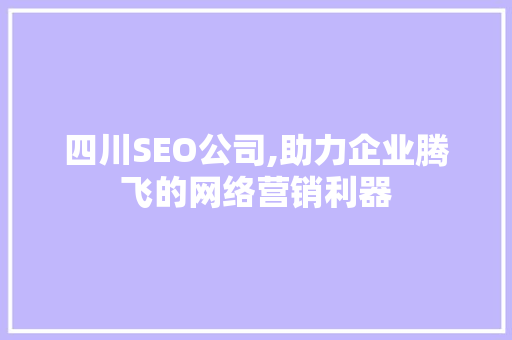 四川SEO公司,助力企业腾飞的网络营销利器