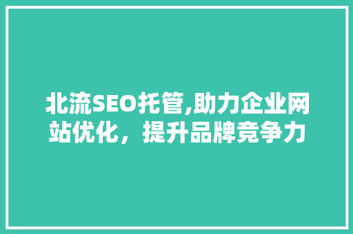 北流SEO托管,助力企业网站优化，提升品牌竞争力