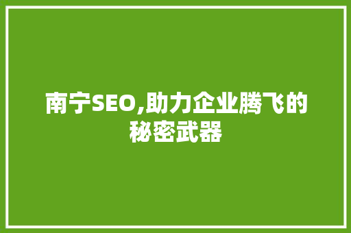 南宁SEO,助力企业腾飞的秘密武器 南宁SEO,助力企业腾飞的秘密武器 GoogleSEO
