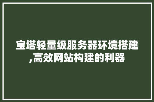 宝塔轻量级服务器环境搭建,高效网站构建的利器