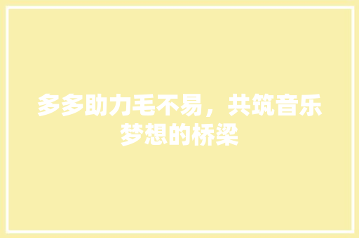 多多助力毛不易，共筑音乐梦想的桥梁