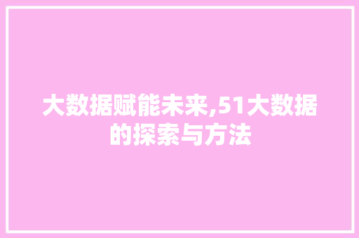 大数据赋能未来,51大数据的探索与方法 大数据赋能未来,51大数据的探索与方法 GoogleSEO