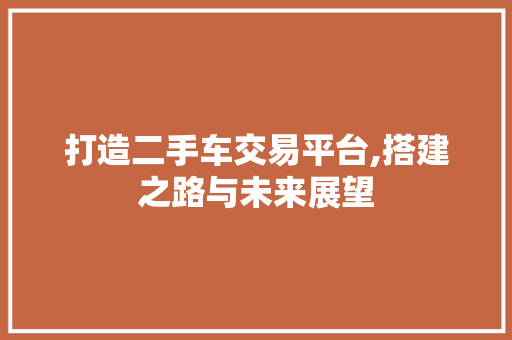打造二手车交易平台,搭建之路与未来展望