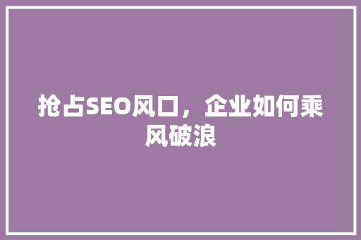 抢占SEO风口，企业如何乘风破浪