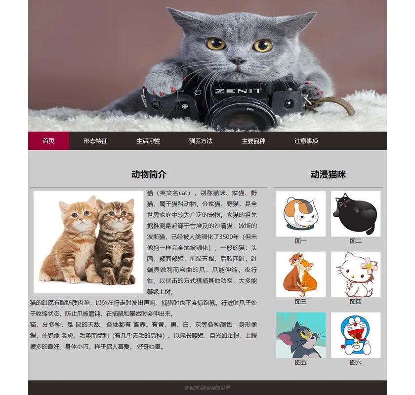 大脸猫设计网站,引领设计潮流,塑造美好视觉体验 GoogleSEO 大脸猫设计网站,引领设计潮流,塑造美好视觉体验 大脸猫设计网站,引领设计潮流,塑造美好视觉体验 GoogleSEO