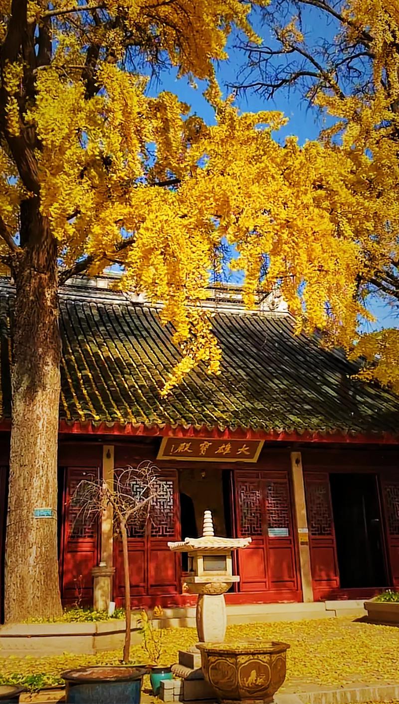 定慧寺,千年古刹,静默智慧之域 搜狗SEO 定慧寺,千年古刹,静默智慧之域 定慧寺,千年古刹,静默智慧之域 搜狗SEO