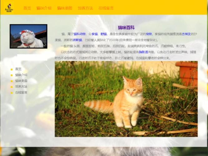 喵屋网站设计软件,引领新时代网页设计潮流的利器 百度SEO 喵屋网站设计软件,引领新时代网页设计潮流的利器 喵屋网站设计软件,引领新时代网页设计潮流的利器 百度SEO