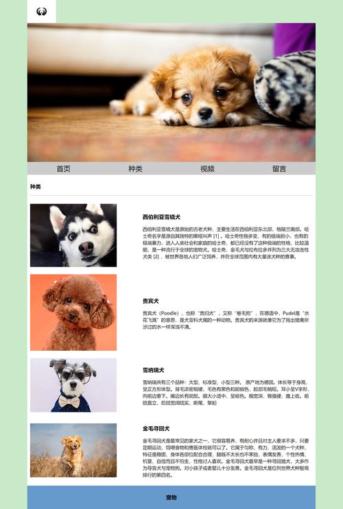 宠物网站设计赏析,创新与人性化的完美融合 百度SEO 宠物网站设计赏析,创新与人性化的完美融合 宠物网站设计赏析,创新与人性化的完美融合 百度SEO