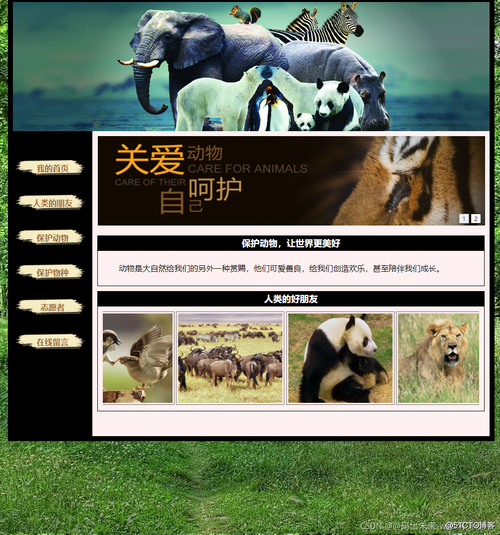 探索动物之美,网站设计中的自然灵感 搜狗SEO 探索动物之美,网站设计中的自然灵感 探索动物之美,网站设计中的自然灵感 搜狗SEO