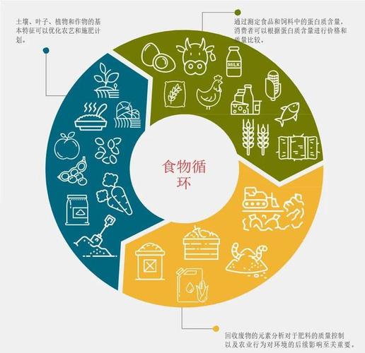 食物循环网站,构建可持续饮食生态圈 GoogleSEO 食物循环网站,构建可持续饮食生态圈 食物循环网站,构建可持续饮食生态圈 GoogleSEO